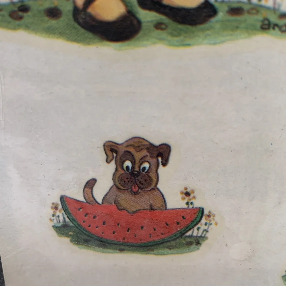 Meyercord Decals Vintage Watermelon Bonnet Girls Dog Flowers Original 1532-D NOS